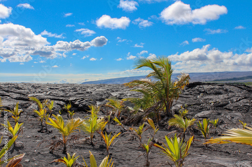 溶岩台地と空と植物 Buy This Stock Photo And Explore Similar Images At Adobe Stock Adobe Stock 溶岩台地と空と植物 Buy This Stock Photo And Explore Similar Images At Adobe Stock Adobe Stock