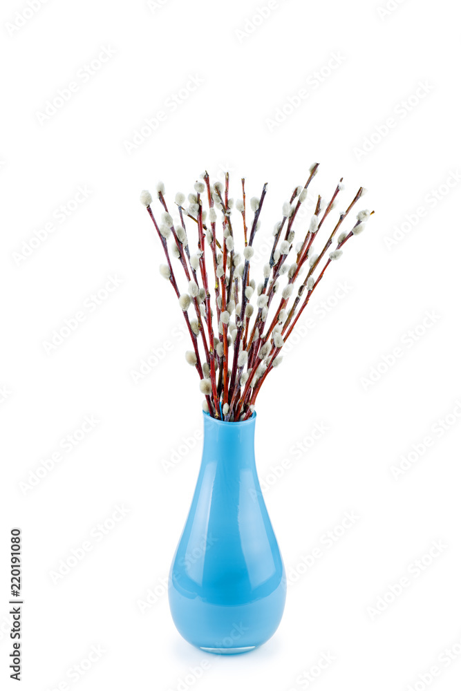 Photo Art Print Pussy Willow Blossom In Blue Vase Europosters
