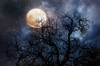 © andreusK - halloween background with moon and dead tree
