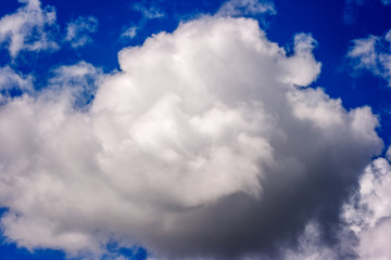 lush white cumulus clouds swim across the blue sky