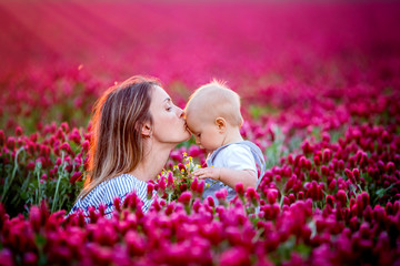 Wall Mural - Young mother, embracing with tenderness and care her toddler baby boy in crimson clover field, smiling happily