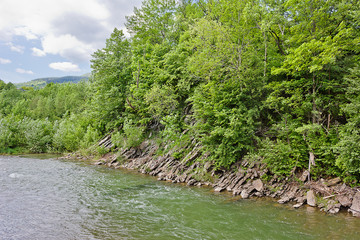 Wall Mural - Mountain river Prut in the Ukrainian Carpathians