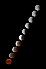 Wall Mural - phases of full eclipse of the moon