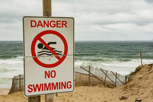 Great White Shark Warning Sign