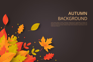 Wall Mural - Autumn background with leaves. Can be used for poster, banner, flyer, invitation, website or greeting card. Vector illustration