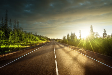 Wall Mural - road in north mountain forest
