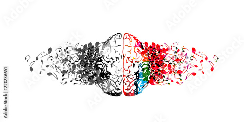 Fotomural Colorful human brain with music notes isolated vector illustration design