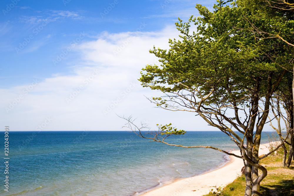 Morze Bałtyckie wakacje lato urlop odpoczynek - obrazy, fototapety, plakaty 
