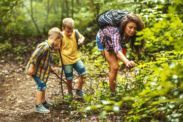 Wall Mural - mother and her little sons hiking trough forest and looking for flora.
