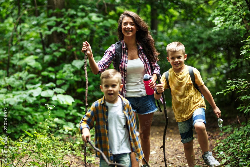 Mother and her little sons hiking trough forest .They learning about nature. - obrazy, fototapety, plakaty 