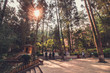 © Theerasak - Garden in kunming