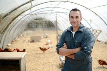 Wall Mural - portrait of handsome young farmer veterinarian taking care of poultry in a small chicken farm