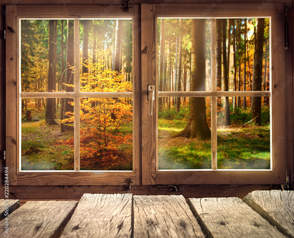 Holzhütte mit Ausblick auf einen Herbstwald - obrazy, fototapety, plakaty 