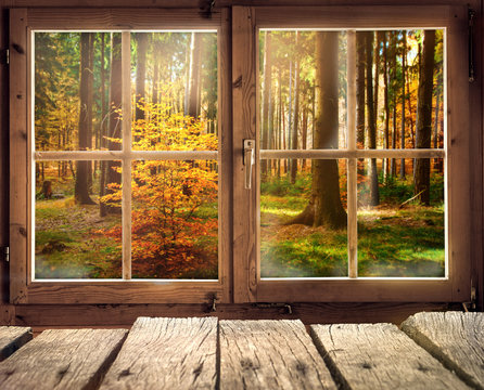 Fototapete - Holzhütte mit Ausblick auf einen Herbstwald