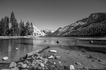 Wall Mural - Tenaya Lake Upper Yosemite