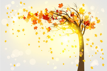 Wall Mural - lonely autumn tree