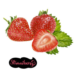 Wall Mural - strawberry watercolor illustration