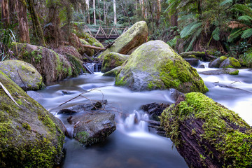 Wall Mural - River flowing between rocks in the dandenong ranges in Australia. The stream is strong.