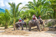 © Sergii Figurnyi - Tourists riding elephant in Thailand