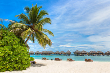  Sunbed and umbrella in the Maldives