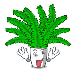 Wall Mural - Crazy fresh fern branch isolated on mascot