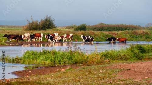 Dolina Górnej Narwi