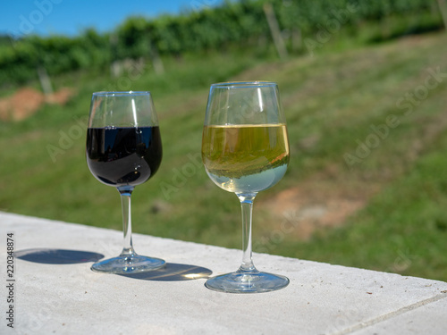 Fotografie, Obraz Full glasses of red and white wine on sunny day in front of winery grape vines