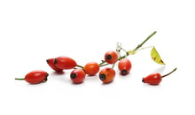 Ripe Red Rose Hips With Twig, Isolated On White Background