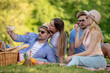 © ivanko80 - Happy young friends having picnic in the country