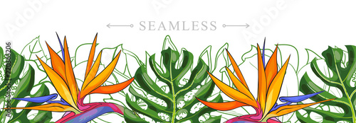 Tropical leaves, flowers seamless pattern border frame with space for text. H...