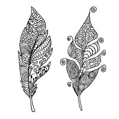  icon feather, ornament, pattern, vector