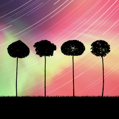 Sticker - Landscape with trees at night. Vector illustration with isolated silhouettes of maples in grass. Rotation of stars. Northern lights in starry sky. Colorful aurora borealis