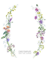 Watercolor summer wreath of wildflowers Botanical colorful illustration