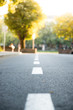 © Patrick Daxenbichler - Urbane Stadtgegend im Herbst, Straße Froschperspektive, Asphalt und Bäume