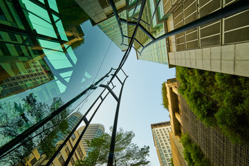 Wall Mural - Low angle shot of modern glass buildings and green with clear sky background.