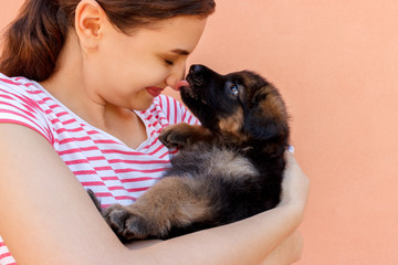 cute German shepherd puppy kissing woman's nose