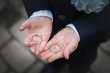 child holds wedding rings in its small hands