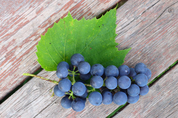 Sticker - Isabella grapes on wooden boards