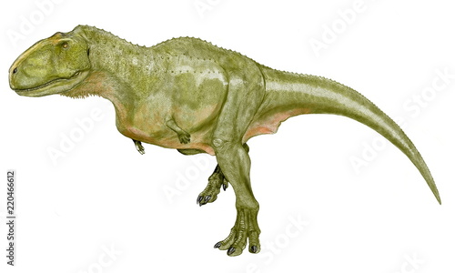 アウカサウルス 白亜紀後期 プレートテクトニクスにおいて過去に存在していたと考えられているゴンドワナ大陸に生息していた肉食恐竜 アベリサウルス科の恐竜 に特徴的な極端に短い前脚はティラノサウルス科にも共通するが指の数が異なる 頭部の特徴は頭骨の化石資料を
