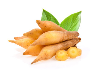 Fingerroot with leaf on white background