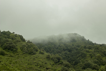  green hills in the foggy