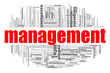 © tang90246 - Management word cloud