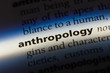 anthropology