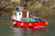 Newquay Harbour Fishing Boat - 9