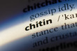 chitin