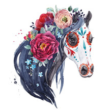 Watercolor Horse Portrait