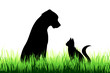 © majivecka - Vector silhouette of dog and cat on a meadow on white background.