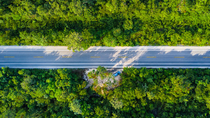 Wall Mural - Drone view of the mayan jungle with a car parked along the crossing road in Tulum Mexico