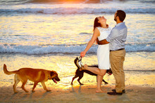 Romantic Couple Walk Their Two Dogs At The Beach