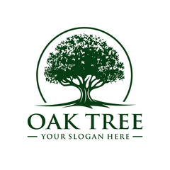 oak tree logo